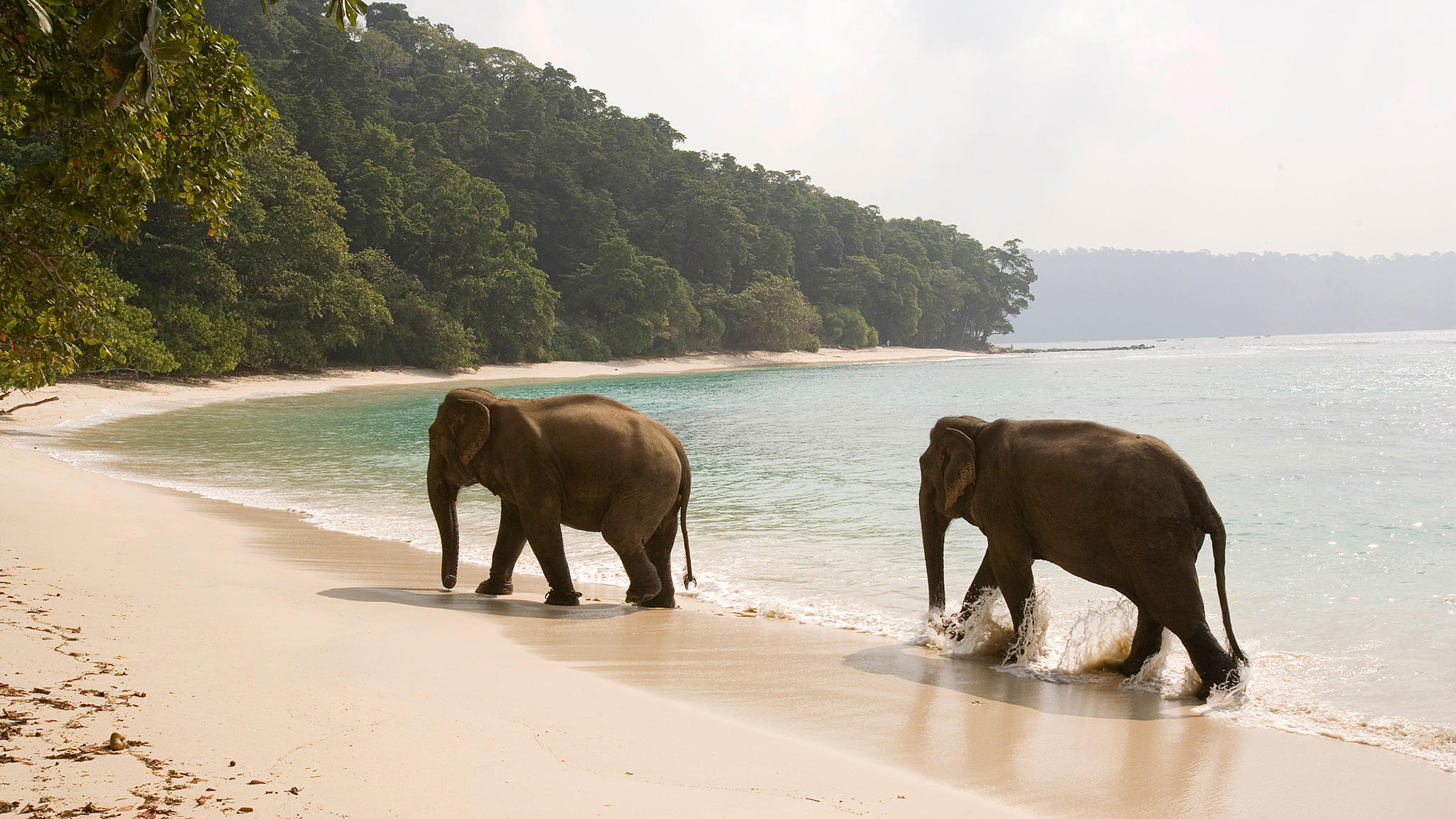 Islands of India: Andaman Islands