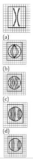 Reasoning Questions for SSC and Railway Exam 2018: 14th January [Solutions]_8.1