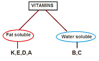 Vitamin Deficiency Diseases | GA Study Notes_3.1