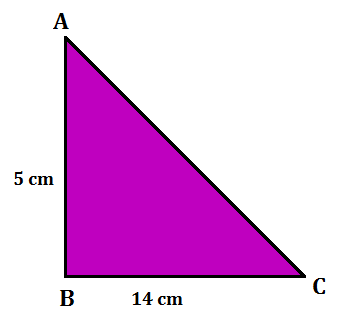 Area of Triangle, Formulas With Examples_100.1