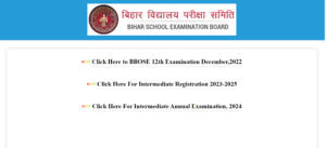 BSEB Dummy Admit Card 2024 Out for Class 10th and 12th_30.1