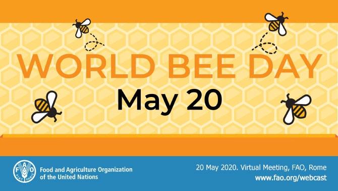 World Bee Day observed globally on 20th May_30.1