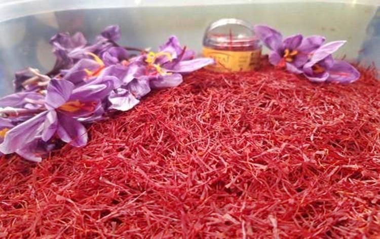 E-auction portal rolled out to promote trading of 'Kashmir Saffron'_30.1