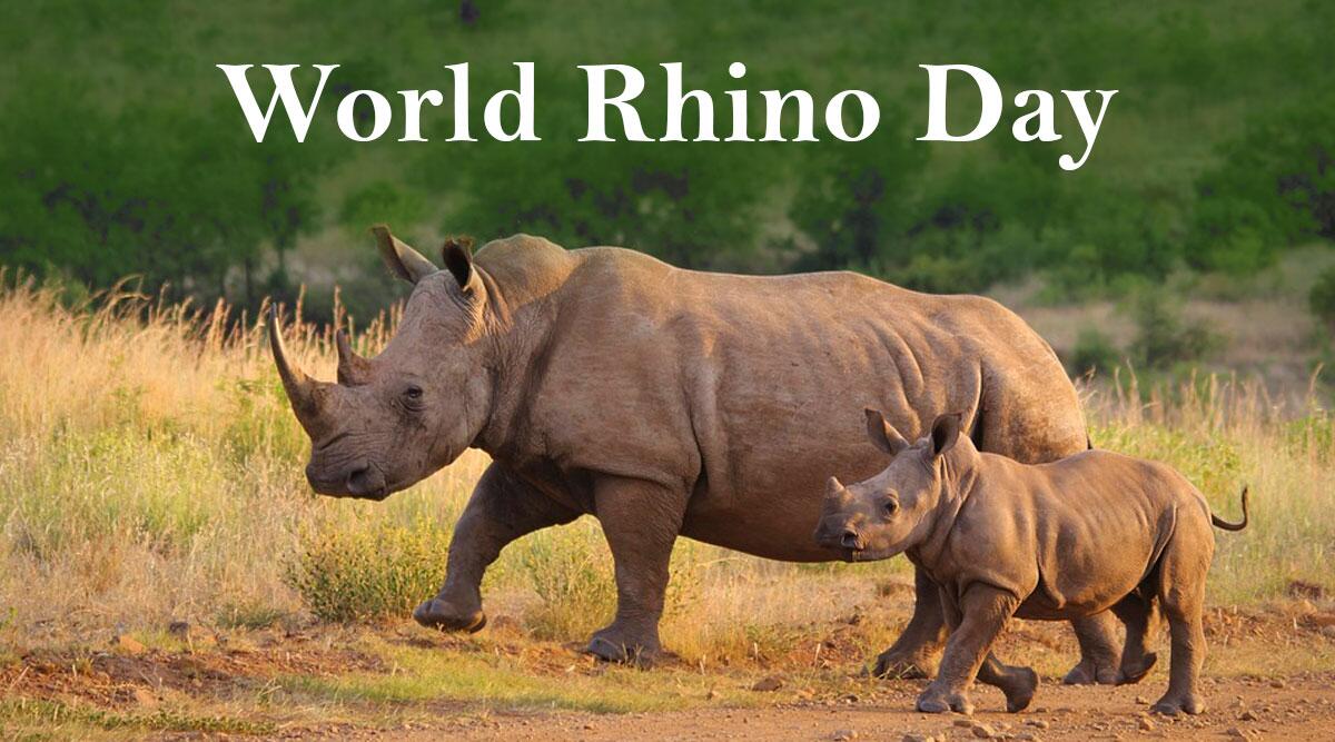 World Rhino Day: 22 September_30.1