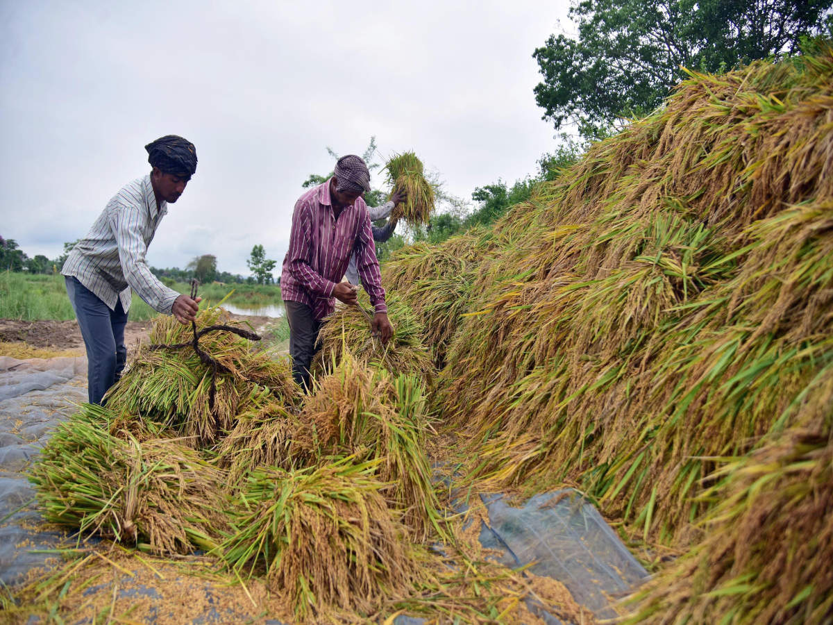 Goa Govt ties up with India Post to get farmers enrolled in PM-KISAN scheme_30.1