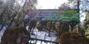 India's first Cryptogamic Garden Inaugurated in Uttarakhand_40.1