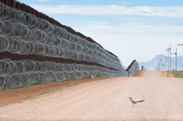 Alejandro Prieto wins Bird Photographer of the Year 2021_30.1