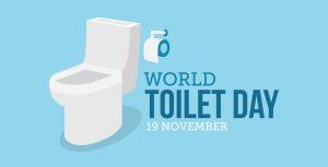 World Toilet Day is observed on 19 November_40.1