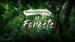 International Day Of Forests 2022: 21st March Observed_40.1