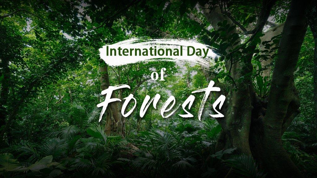 International Day Of Forests 2022: 21st March Observed_30.1