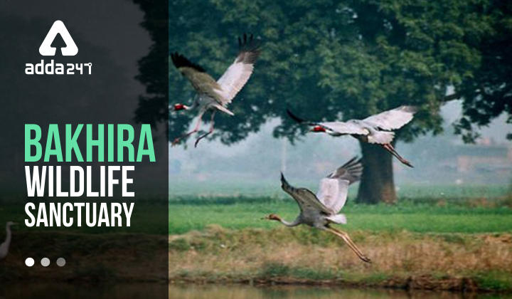 Bakhira Wildlife Sanctuary 2022: Features and Importance_30.1