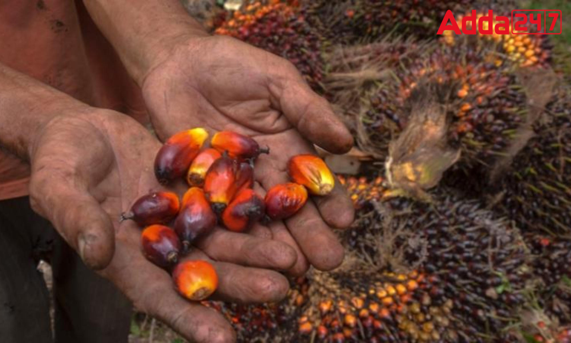 Godrej Agrovet signed agreements with Assam, Manipur, and Tripura for Palm Oil_30.1