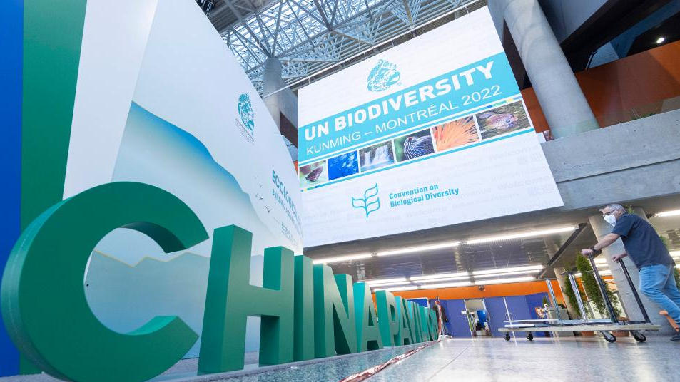U.N. Convention on Biological Diversity, COP 15 Commences in Canada_30.1