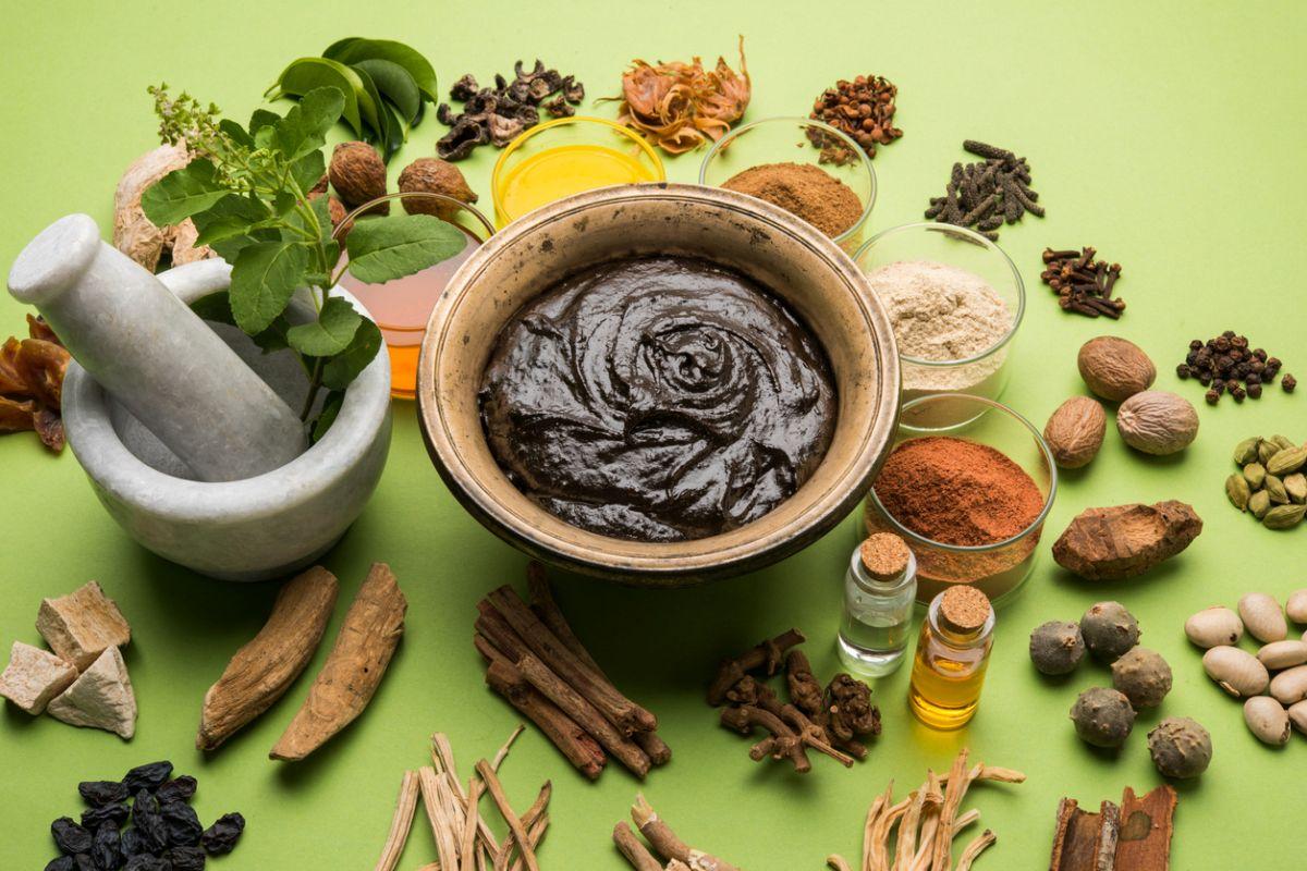 'SMART' program for Ayurveda professionals launched to regulate and boost R&D in Ayurveda_30.1