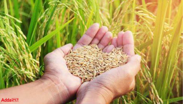New Integrated Food Security Scheme Named as Pradhan Mantri Garib Kalyan Ann Yojana_30.1