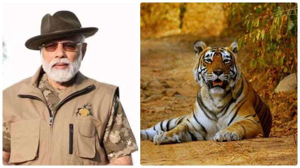 PM Modi launched big cats alliance to conserve seven cats_30.1