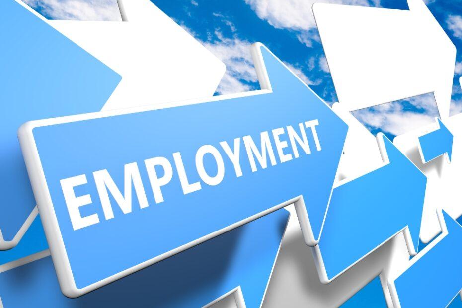 Increasing Regular Jobs but Lingering Unemployment Concerns: Report_30.1