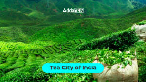 Tea City of India