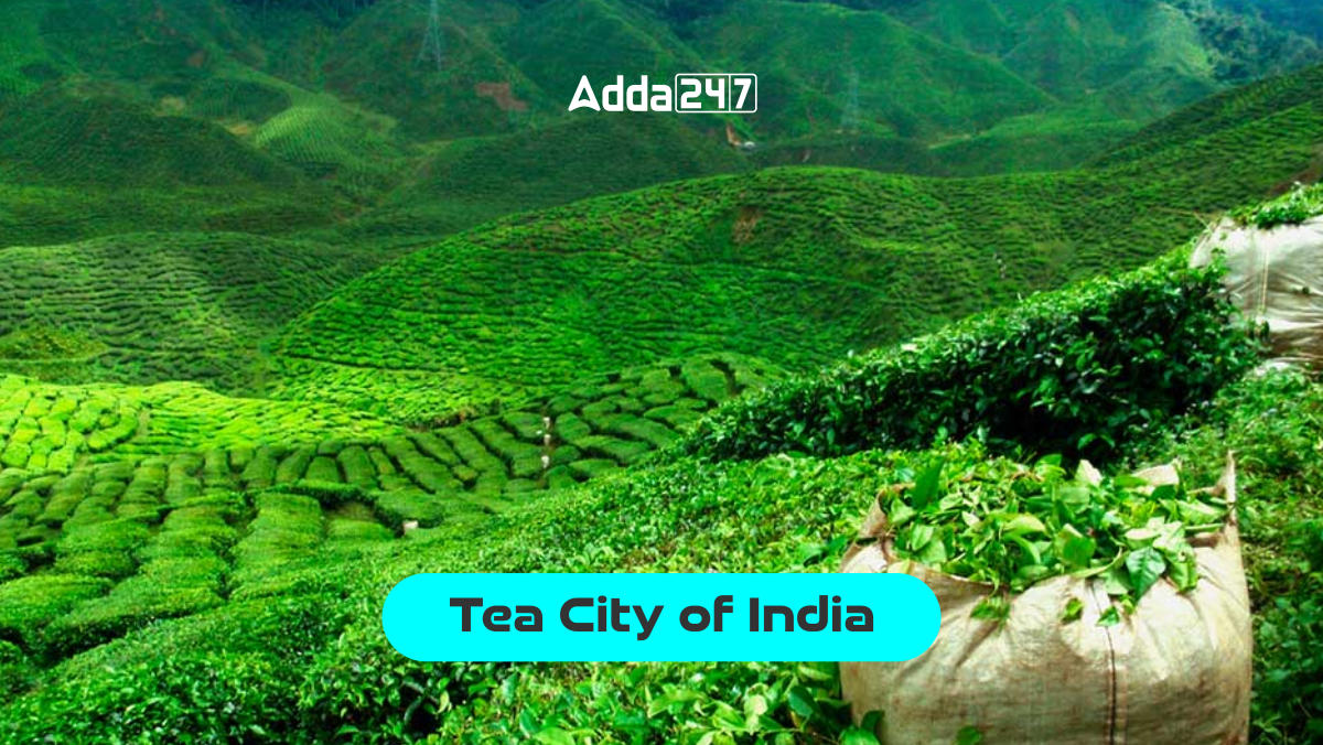 Tea City of India, Know the City Name_30.1