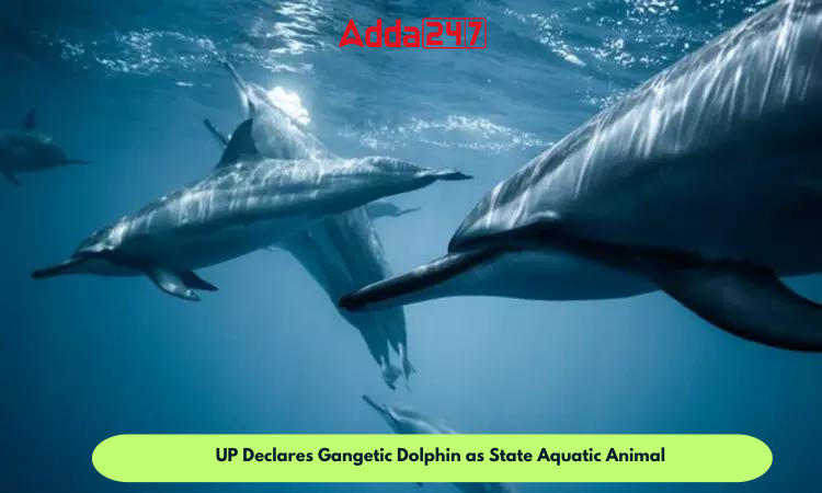 UP Declares Gangetic Dolphin as State Aquatic Animal_30.1