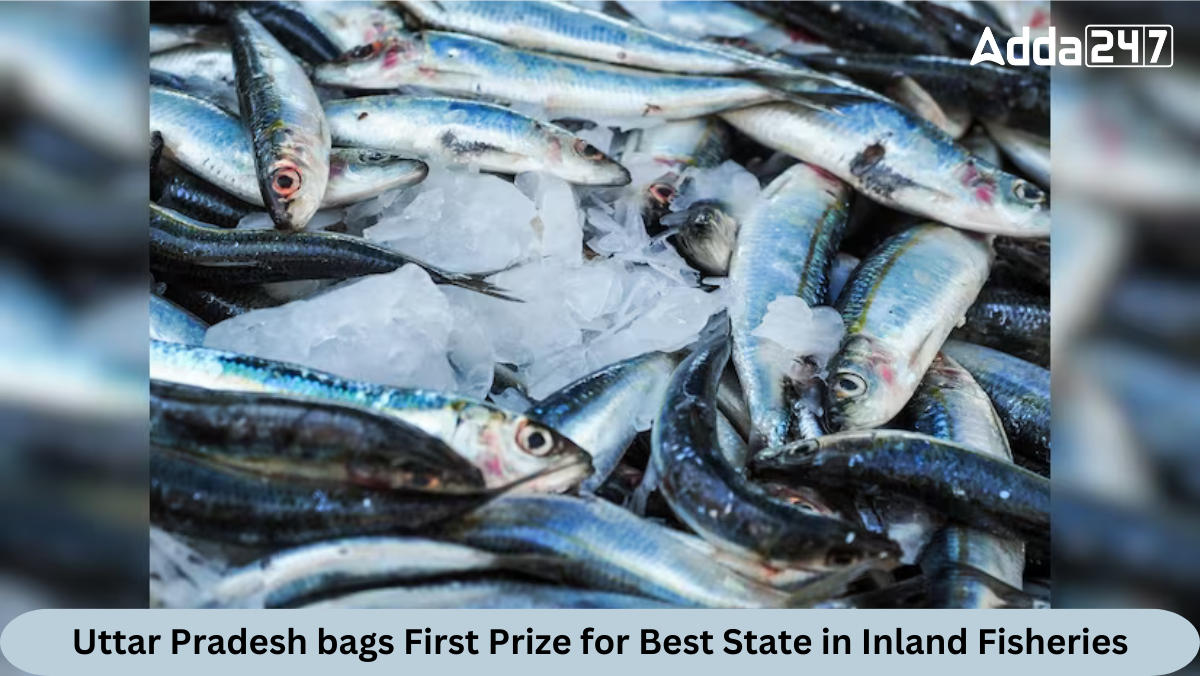 Uttar Pradesh bags First Prize for Best State in Inland Fisheries_30.1
