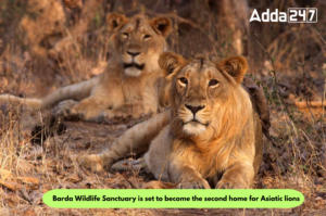 Barda Wildlife Sanctuary is set to become the second home for Asiatic lions