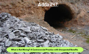 What is Rat Mining? A Controversial Practice with Unexpected Benefits