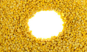 India Implements Duty-Free Import of Yellow Peas to Regulate Pulse Prices
