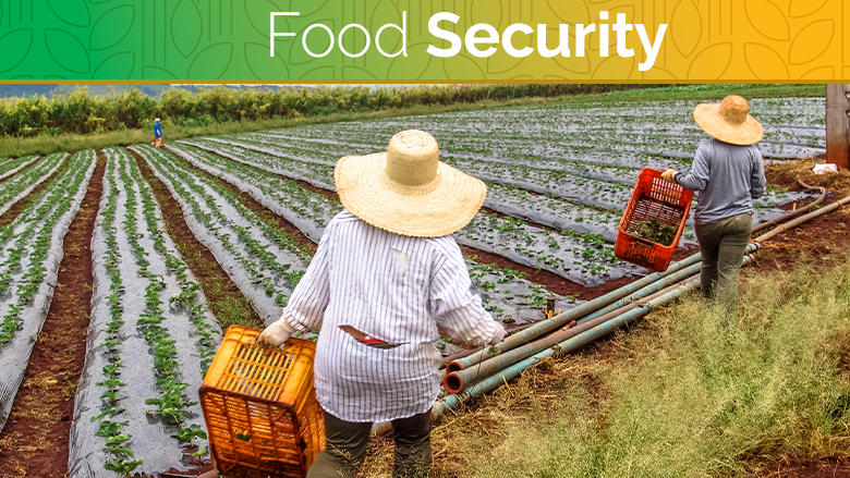 2022 वैश्विक खाद्य सुरक्षा सूचकांक रिपोर्ट जारी |_20.1