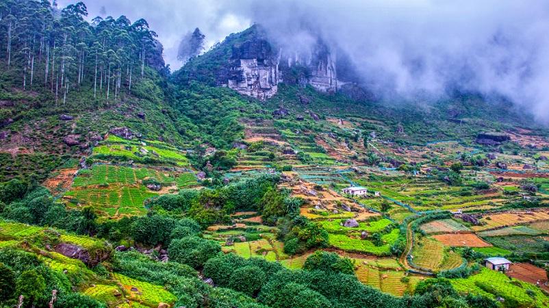 श्रीलंका के पर्यटन क्षेत्र में भारत का शीर्ष स्थान |_20.1