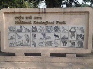 राष्ट्रीय जूलॉजिकल उद्यान : नई दिल्ली ने मनाया विश्व सर्प दिवस 2023 |_30.1