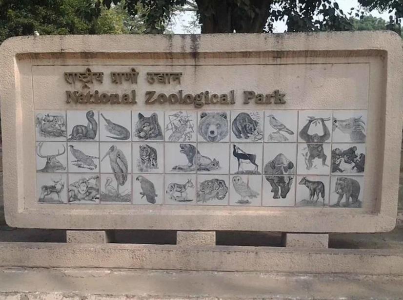 राष्ट्रीय जूलॉजिकल उद्यान : नई दिल्ली ने मनाया विश्व सर्प दिवस 2023 |_20.1