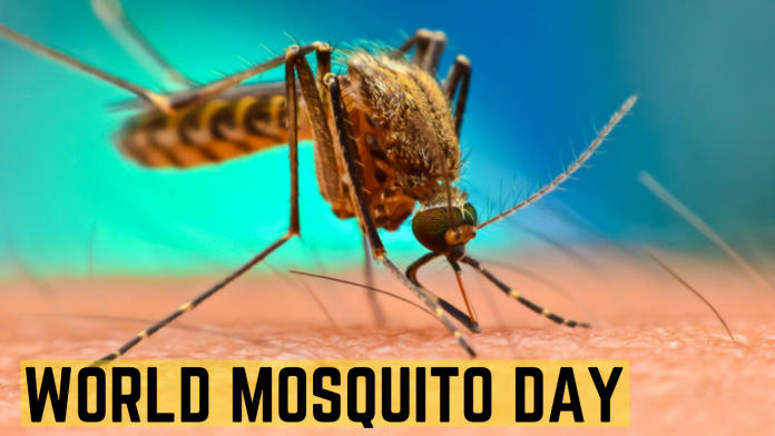 विश्व मच्छर दिवस 2023: तारीख, महत्व, उत्सव और इतिहास |_20.1