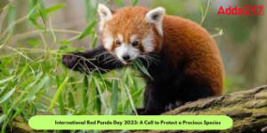 अंतरराष्ट्रीय रेड पांडा दिवस 2023: रेड पांडा की रक्षा के लिए एक आह्वान |_30.1