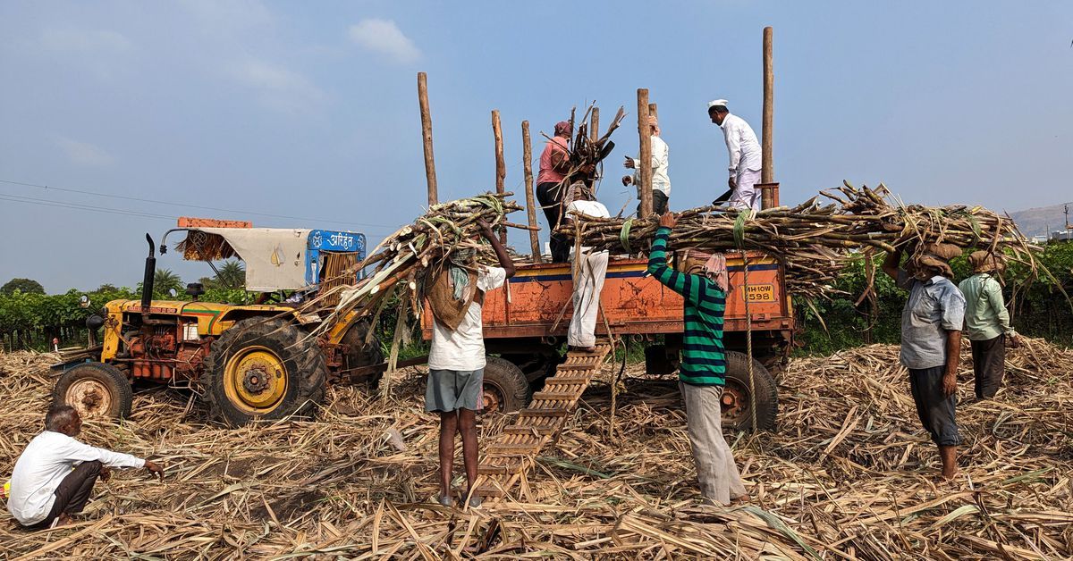 भारत ने स्थानीय कीमतों को नियंत्रण में रखने हेतु चीनी निर्यात पर प्रतिबंध बढ़ा दिया |_20.1