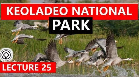 Keoladeo Natioinal Park – UNESCO World Heritage Site Of India – Free PDF