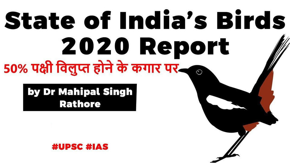 research paper on birds in india