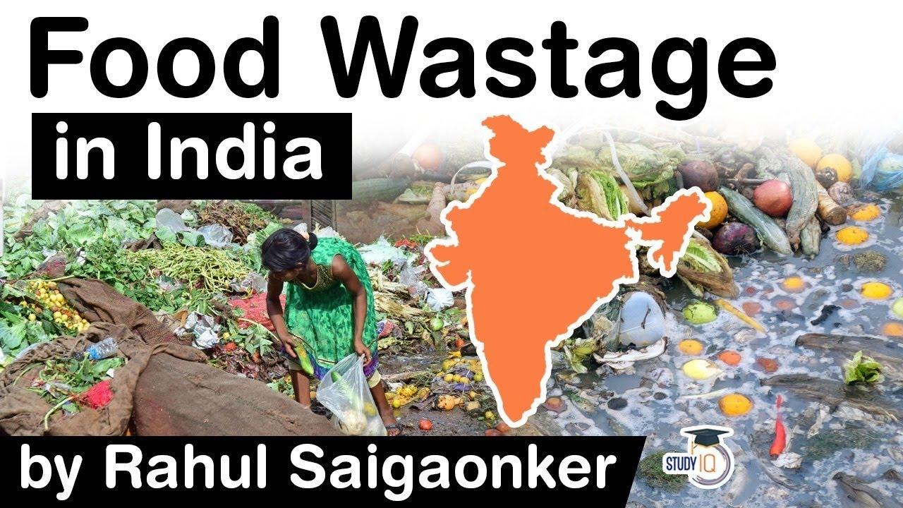 essay on food wastage in india