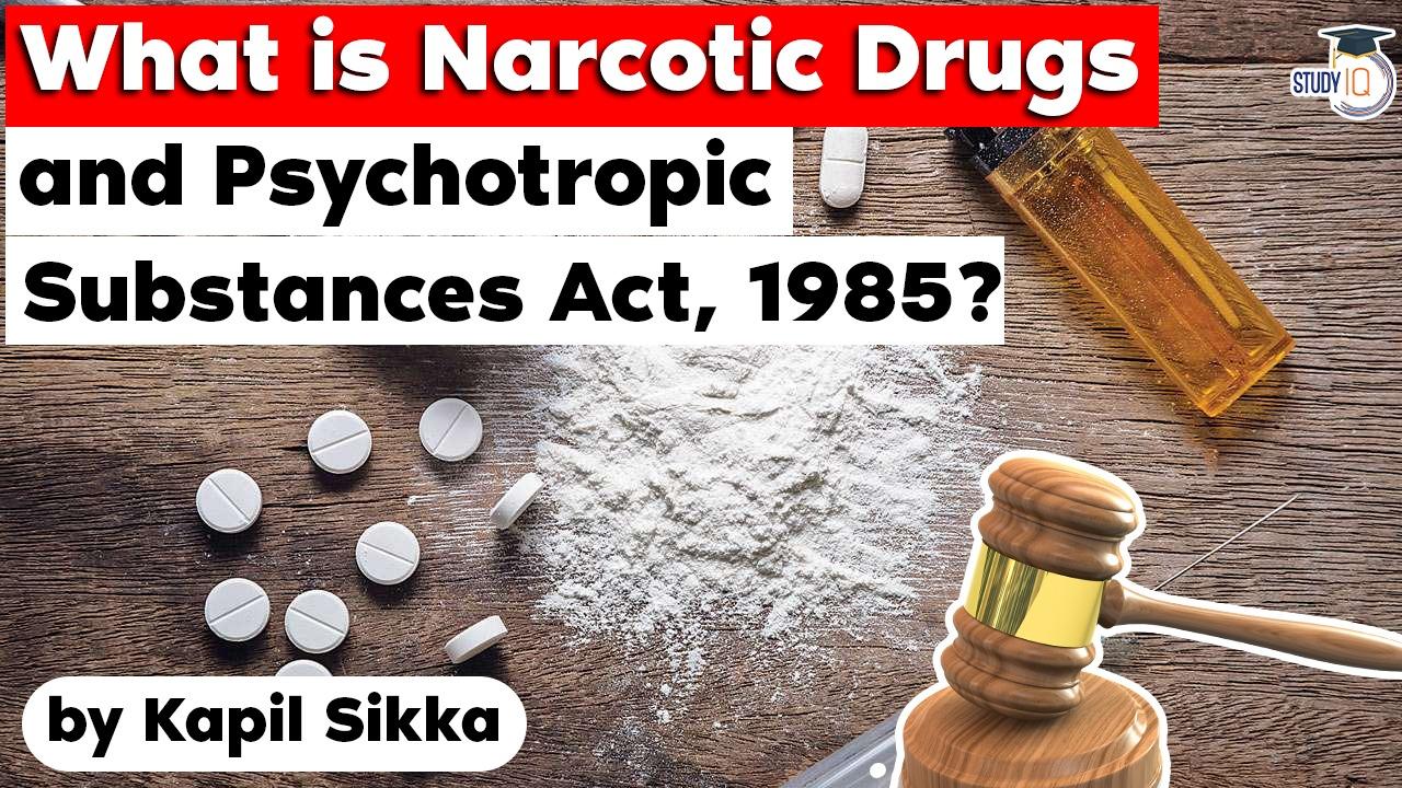 What Is Narcotic Drugs And Psychotropic Substances, 40% OFF