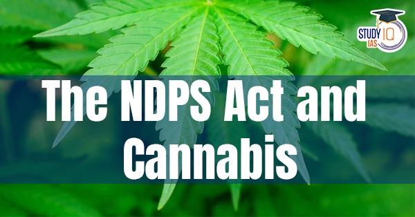 The NDPS Act and Cannabis