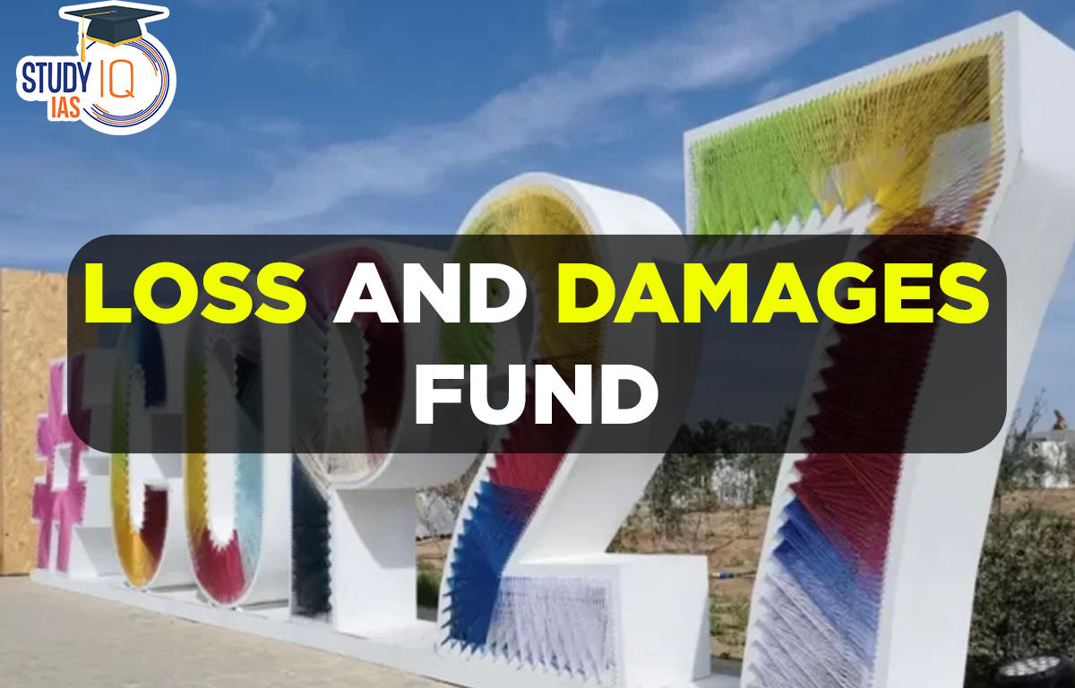 Loss And Damages Fund