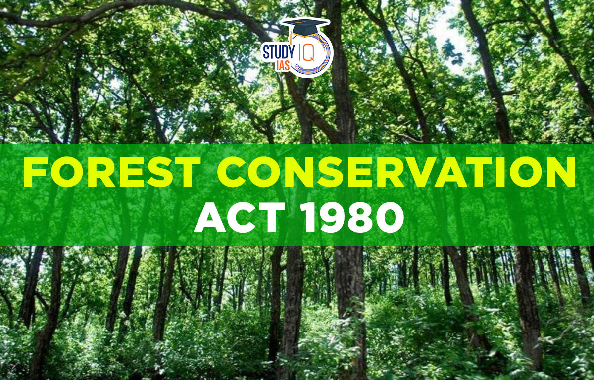 History of the Committee on Conservation of Forests and Wildlife