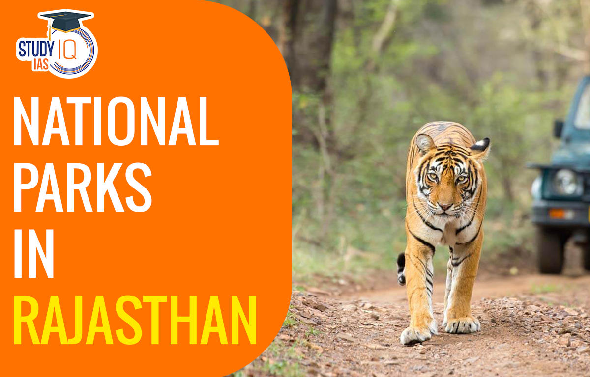 National Parks in Rajasthan List 2023, Name, Map, Location, Features