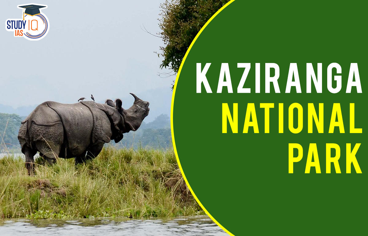 Kaziranga National Park, Assam, India World Heritage Site - ITP