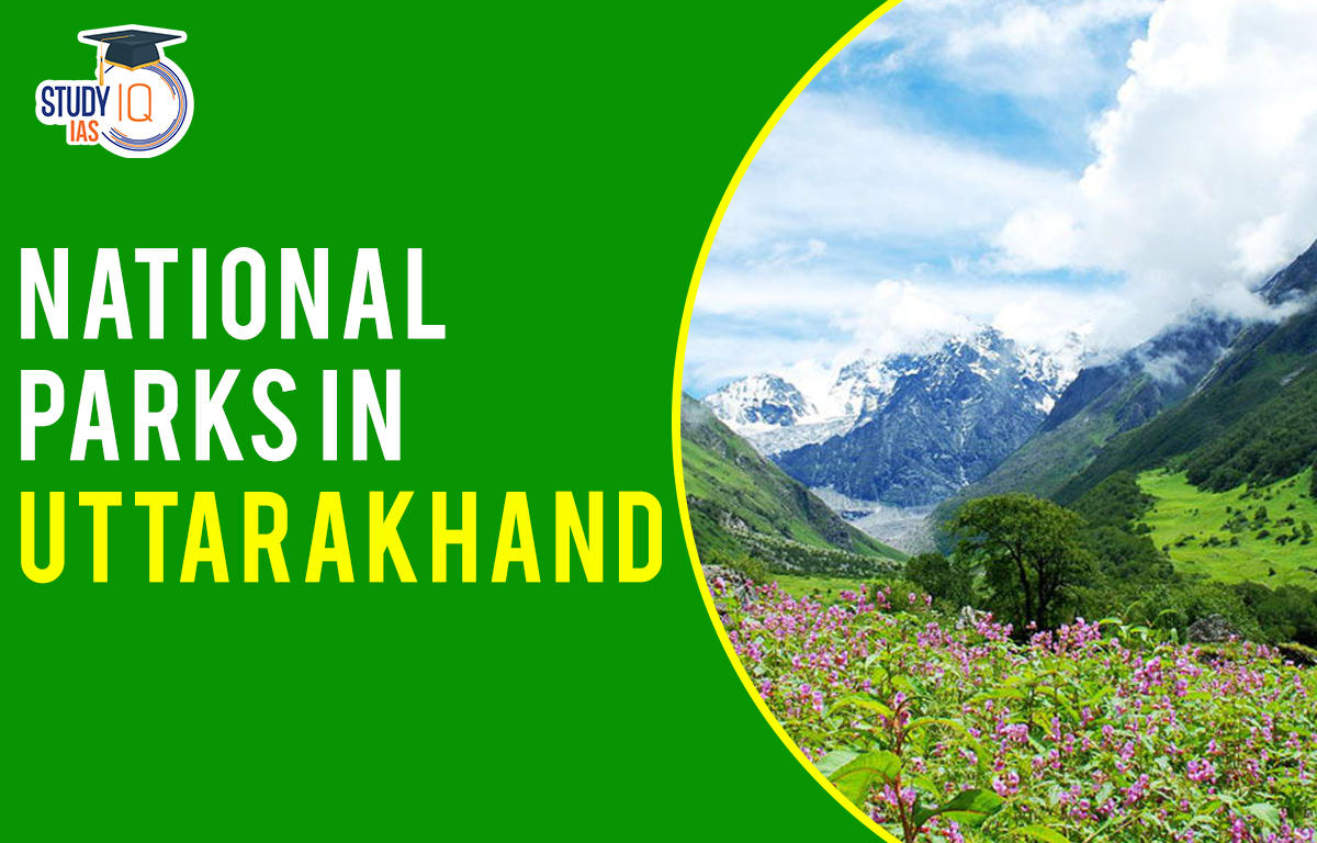 National Parks in Uttarakhand