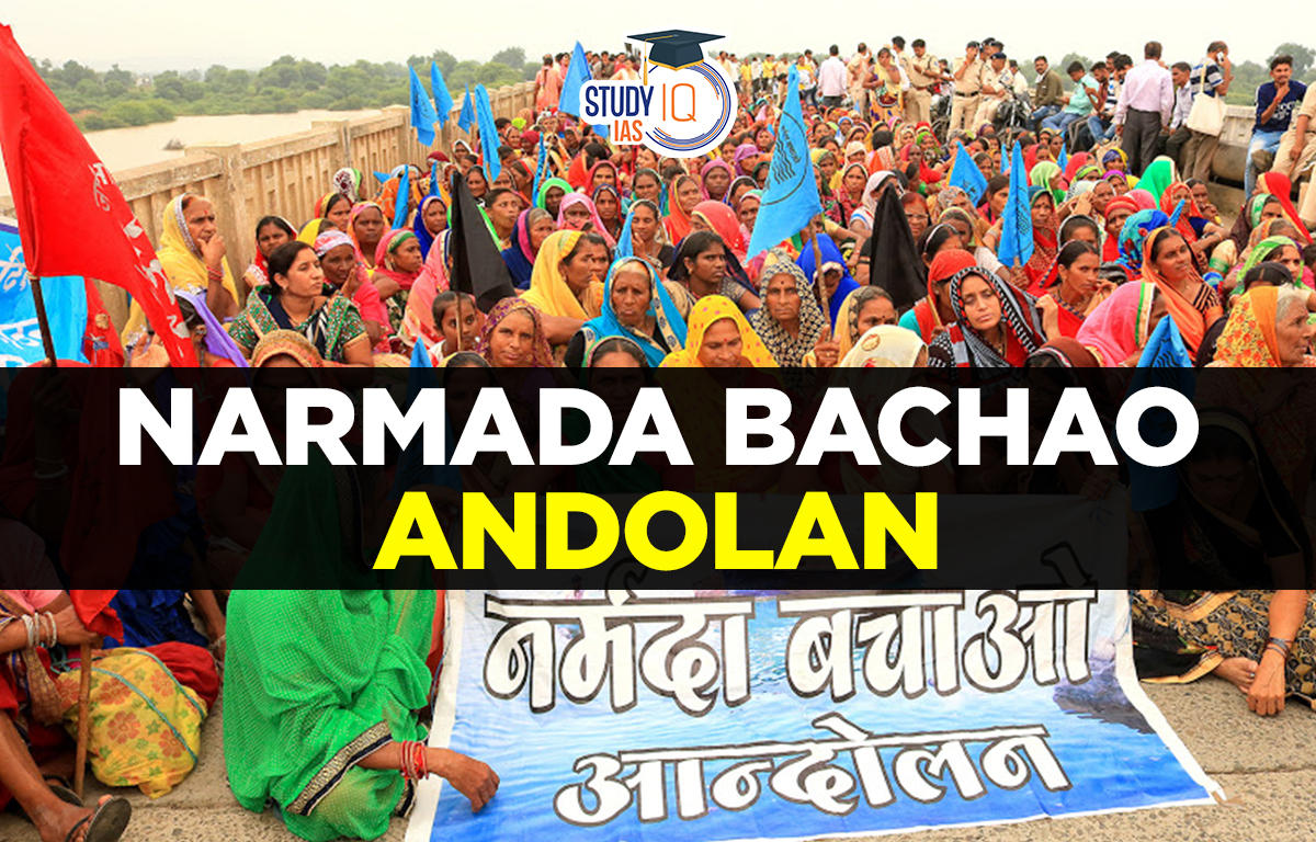narmada bachao andolan movement