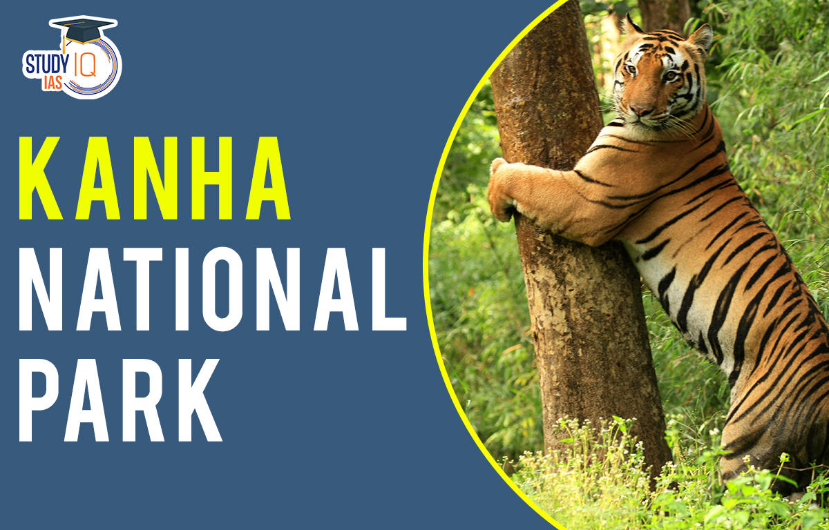Kanha National Park, History, Details, Feature, Biodiversity and Conservation