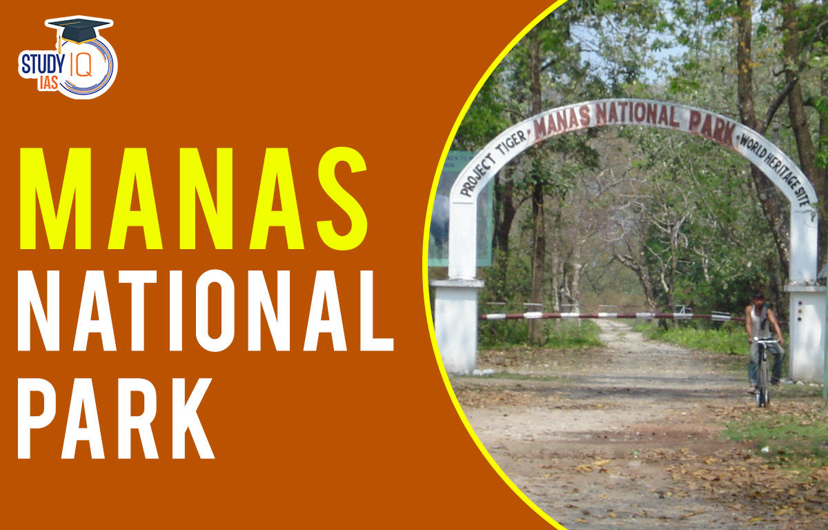 Manas national park