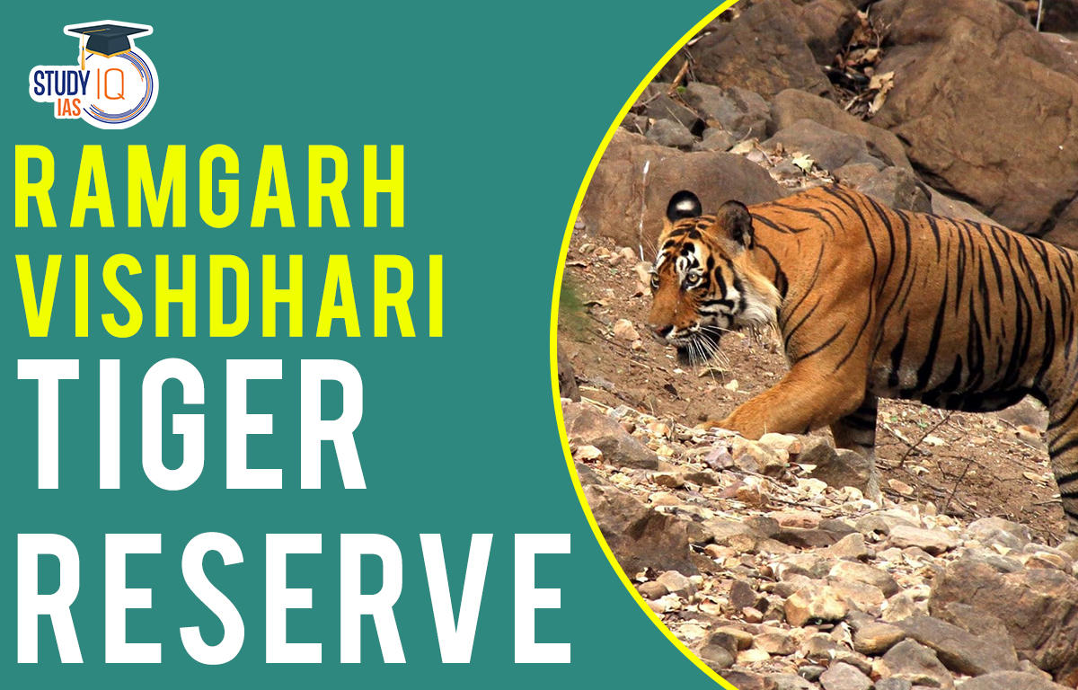 Ramgarh vishdhari tiger reserve