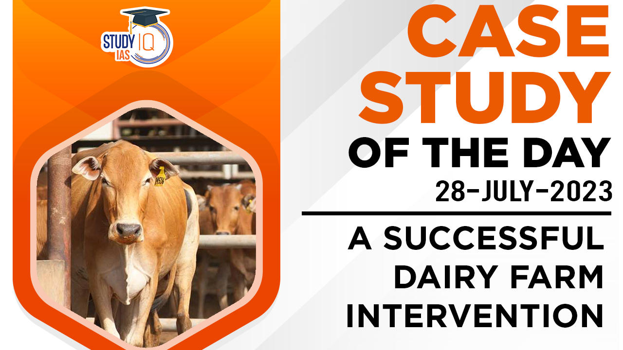 A Successful Dairy Farm Intervention